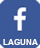 Facebook Laguna
